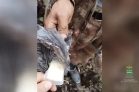 Мигранта с килограммом золота задержали в Амурской области