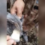 Мигранта с килограммом золота задержали в Амурской области