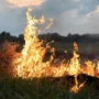 Штрафов на 1,5 млн рублей выписали амурчанам за нарушение противопожарных правил