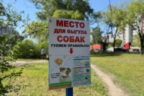 В Благовещенске на Мухина оборудуют площадку для выгула и тренировки собак