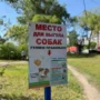 В Благовещенске на Мухина оборудуют площадку для выгула и тренировки собак