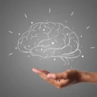 Science: Сон ведет к формированию цепочки факторов риска развития деменции