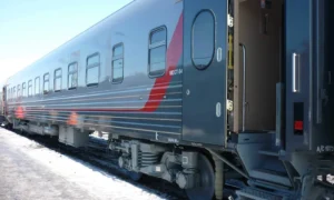 В Приамурье пьяный пассажир поезда устроил дебош и напал на полицейских
