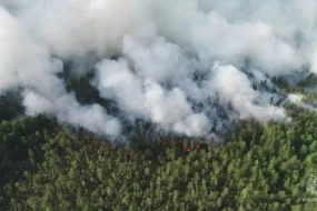 В Амурской области с 11 июня отменяют особый противопожарный режим