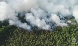 В Амурской области с 11 июня отменяют особый противопожарный режим