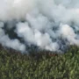 В Амурской области с 11 июня отменяют особый противопожарный режим