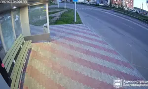 Очередной вандал расстрелял остановку в Благовещенске