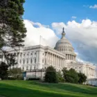 Дональд Трамп снял обращение к Франции после победы Гана в Белом доме
