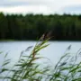 У «Теплых озер» приняли срочные меры после информирования о загрязнении