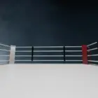Боец из Дагестана на турнире UFC в Баку обошел соперника удушающим приёмом