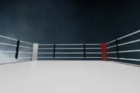 Боец из Дагестана на турнире UFC в Баку обошел соперника удушающим приёмом