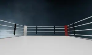 Боец из Дагестана на турнире UFC в Баку применил удушающий прием и победил