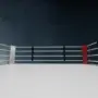 Боец из Дагестана на турнире UFC в Баку обошел соперника удушающим приёмом