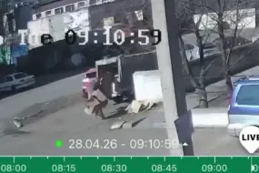 В Благовещенске усилили контроль за мусорными площадками: камеры и штрафы