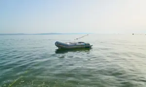 Лодку с детьми унесло течением Амура: семью спасли случайные люди