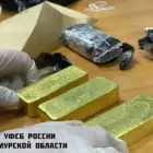 Амурчанин нашел золото на 55 млн рублей среди кучи мусора и попал под суд
