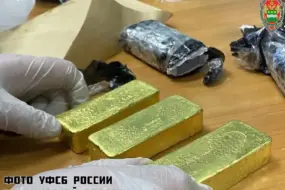 Амурчанин нашел золото на 55 млн рублей среди кучи мусора и попал под суд