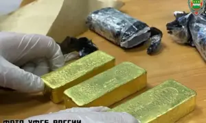 Амурчанин нашел золото на 55 млн рублей среди кучи мусора и попал под суд