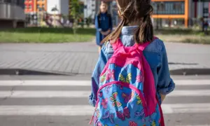 В Приамурье 53-летний рецидивист похитил у 8-летней девочки рюкзак