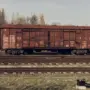 Мужчина в наушниках попал под поезд в Амурской области