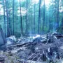 Крушение Ан-24 под Тындой: следствие завершает расследование спустя год
