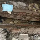 В Амурской области обнаружили нетленное погребение XIX века
