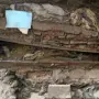 В Амурской области обнаружили нетленное погребение XIX века