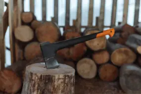 В Приамурье дачник спилил дерево, после чего у него нашли запасы марихуаны