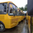 24 новых школьных автобуса поступят в Амурскую область