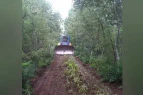 В Амурской области создали свыше 700 км новых противопожарных полос