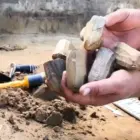 Археологи Приамурья нашли клад возрастом около 10 тысяч лет