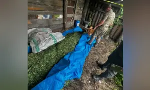 Два крупных склада наркотиков выявили в Амурской области