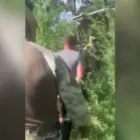 В Амурской области накрыли большой склад наркотиков
