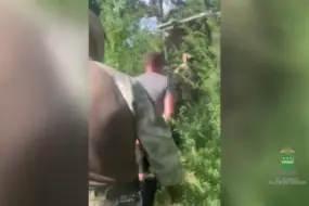 В Амурской области накрыли большой склад наркотиков