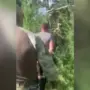 В Амурской области накрыли большой склад наркотиков