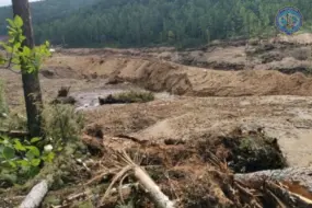 В Приамурье золотодобытчики попались на наглом захвате тайги