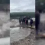 В Приамурье прошли рейды на объектах золотодобычи