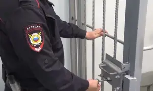 Жительница Приамурья споила подростка ради налета на хозмаг