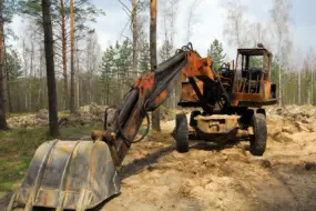 Золотодобытчики в Приамурье самовольно присвоили кусок государственного леса