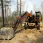 Золотодобытчики в Приамурье самовольно присвоили кусок государственного леса