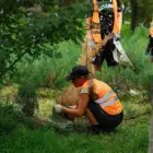 В Амурской области подвели итоги летнего трудоустройства подростков