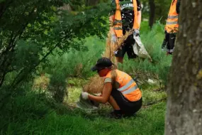 В Амурской области подвели итоги летнего трудоустройства подростков