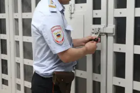 В Благовещенске полиция со стрельбой задержала серийного автоугонщика