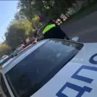 В Благовещенске прошли рейды против нраушителей правил перевозки детей