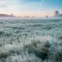 Первые заморозки и гололедица: в Амурской области объявили штормовое предупреждение