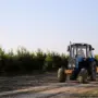 Телефон признали орудием преступления: покупка фальшивых прав обошлась амурчанину стоимости нового телефона