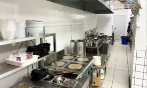 Владельцы кафе организовали сеть по доставке нелегальных мигрантов в Приамурье