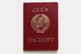 Участнику запрещенного движения граждан СССР грозит до 6 лет лишения свободы