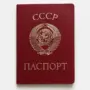 Участнику запрещенного движения граждан СССР грозит до 6 лет лишения свободы