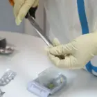 Нидерланды обошли весь мир в вопросе эвтаназии